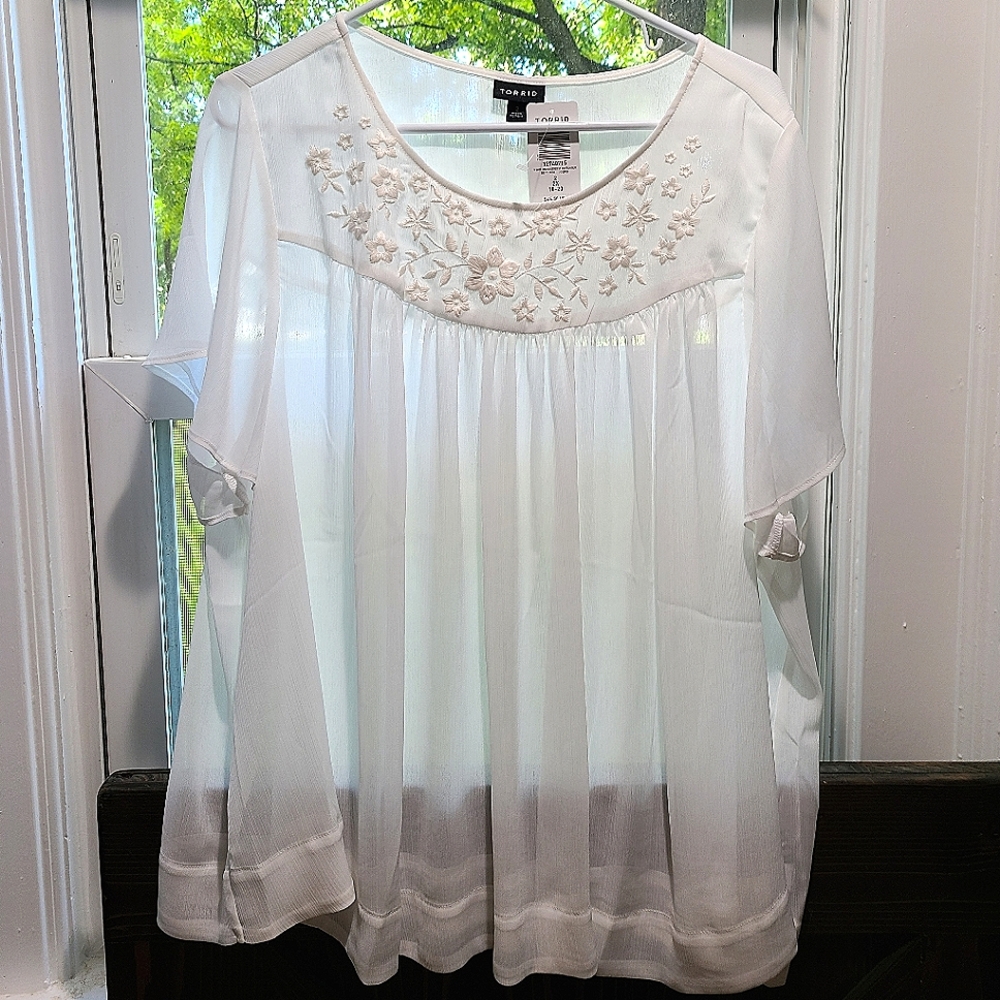 Gorgeous sheer white shirt sleeve blouse
